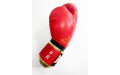 Боксерские перчатки Raja Snake red 12 oz