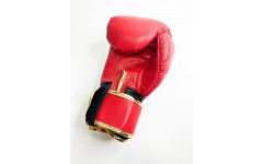Боксерские перчатки Raja Snake red 10 oz Боксерские перчатки Raja Snake red 10 oz