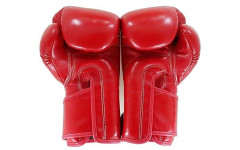 Боксерские перчатки BGV6 red 16 oz