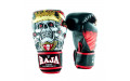 Боксёрские перчатки Raja Fancy Skull King 10 oz