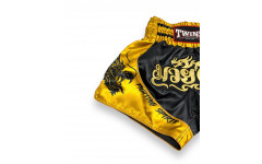 Шорты для бокса Twins Special TBS DRAGON 2 - M Шорты для бокса Twins Special TBS DRAGON 2 - M