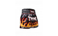 Шорты для бокса Twins Special TBS Flame L
