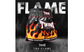 Шорты для бокса Twins Special TBS Flame L