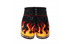Шорты для бокса Twins Special TBS Flame S