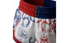 Шорты для Muay Thai Twins Special TBS Yant S