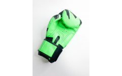 Боксерские перчатки Raja model 3 green 10 oz