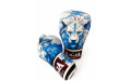 Боксёрские перчатки Raja Leo Frost 16 oz