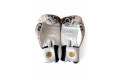 Боксёрские перчатки Raja White Tiger 16 oz