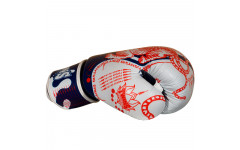 Боксерские перчатки Twins Special FBGVL4-67 Yant 14 oz